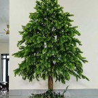 cây thông noel kt 200cm